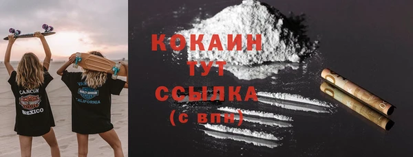 крисы Краснослободск