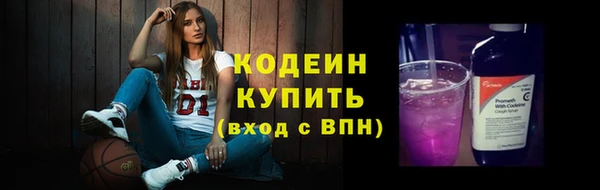 крисы Краснослободск