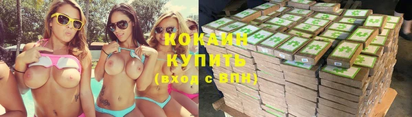крисы Краснослободск